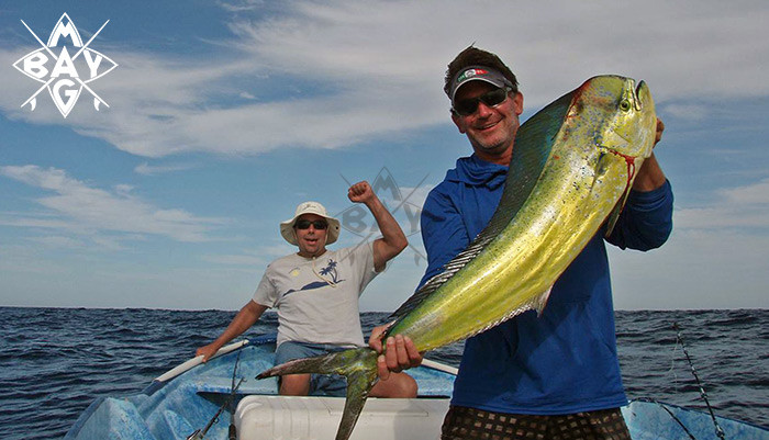 Fishing catch in Bahía Magdalena
